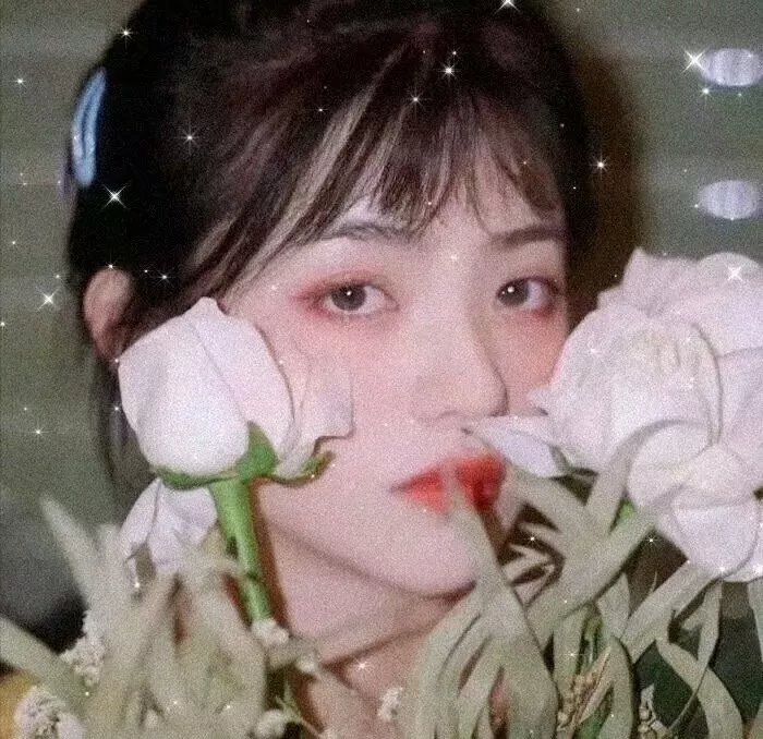 覆盖半球的谷物